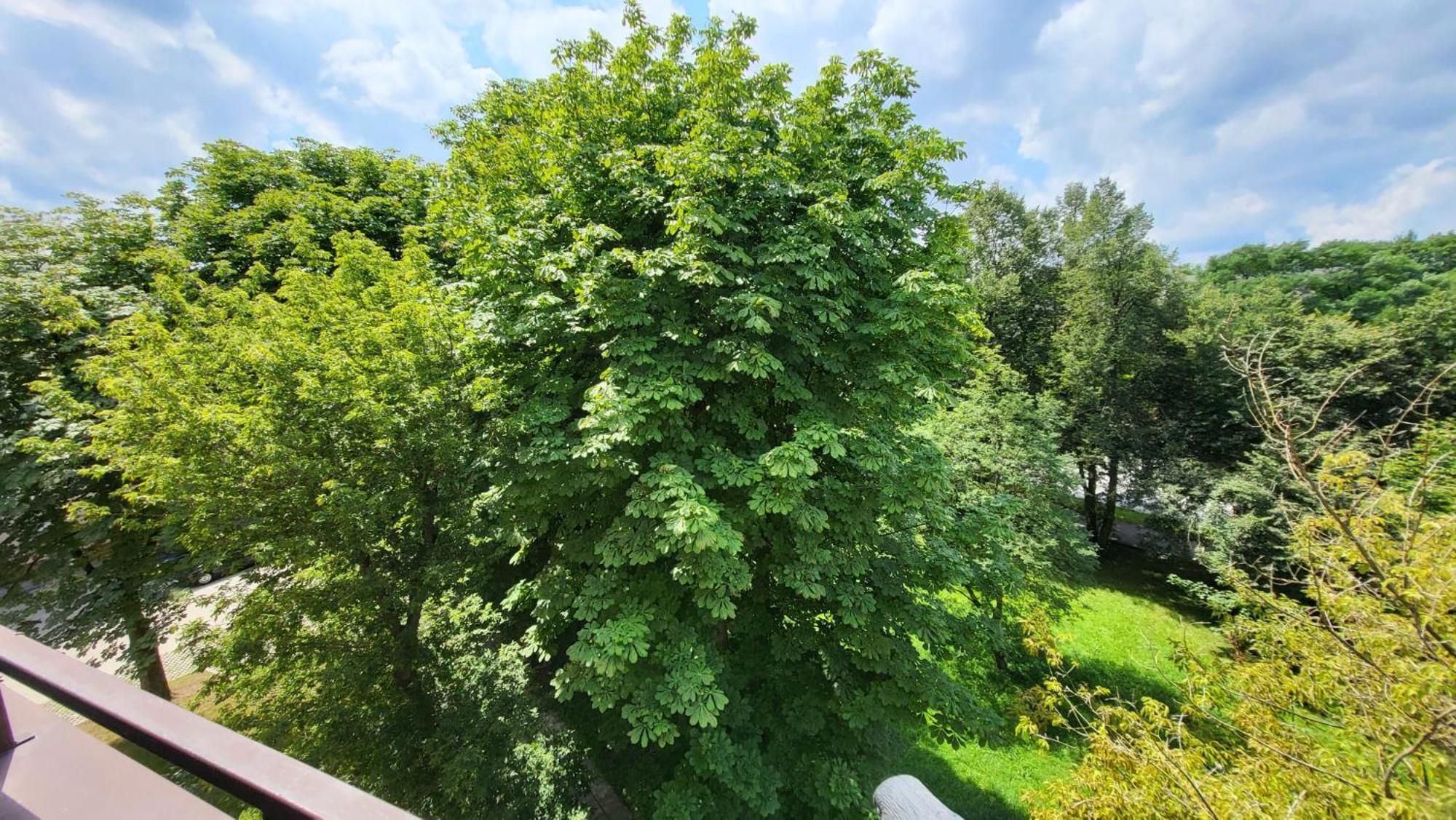 Apartment Exclusive Loft Kadzielnia Kielce